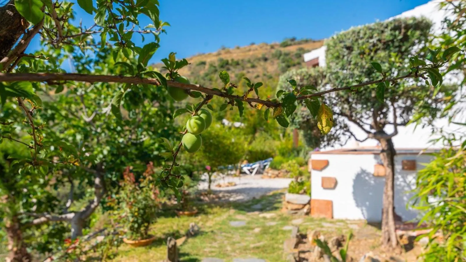 Casa Lorpica El Borge By Ruralidays Villa Moclinejo